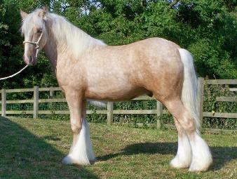 Click for larger image